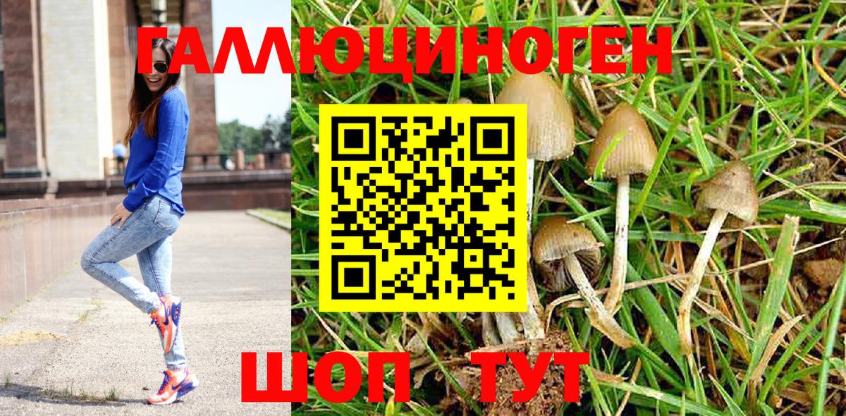 Галлюциногенные грибы Psilocybe Азнакаево